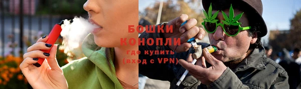 гашик Кострома