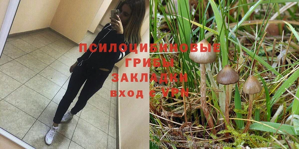 a pvp Алзамай