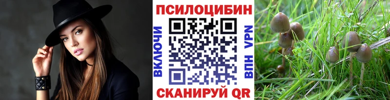 цены наркотик  Евпатория  Псилоцибиновые грибы прущие грибы 